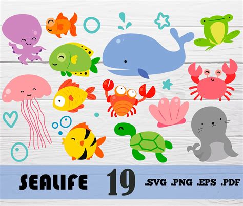 Sealife Svgsea Animal Files Sea Animal Svg Sea Animal Clip Etsy