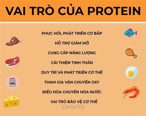 Protein chất đạm là gì vai trò của protein đối với cơ thể