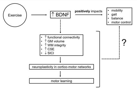 Figure 2 From Current Methodological Pitfalls And Caveats In The