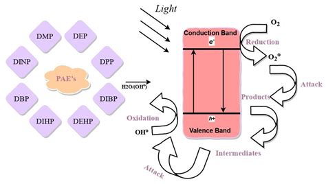 Catalysts Free Full Text Current Developments In The Effective Removal Of Environmental