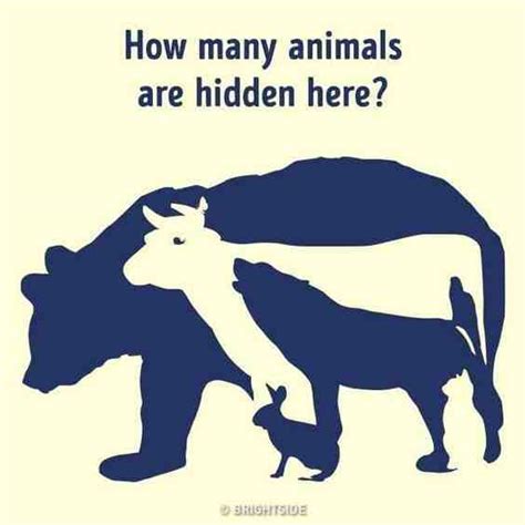 How Fast You Can Find All The 10 Animals Hidden In This Optical