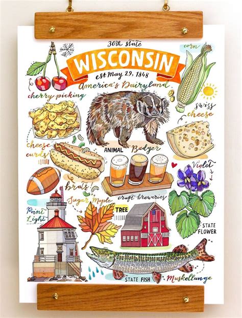 Wisconsin State Print. Illustration. the Badger State. State Symbols. - Etsy in 2024 | State ...