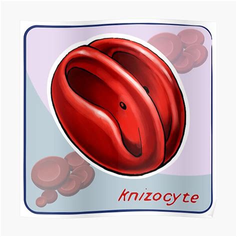 "Knizocyte" Poster for Sale by DrawnToTheSea | Redbubble