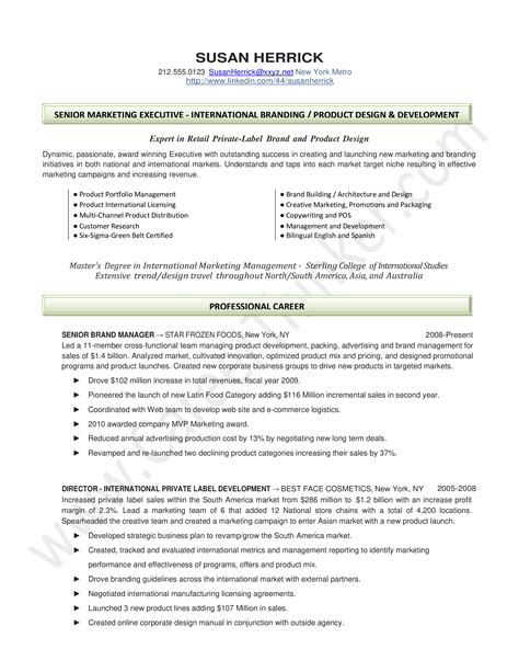 Marketing Executive Resume Template