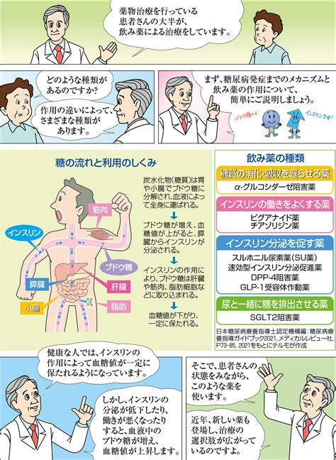 薬物療法経口薬をよく知ろう 糖尿病の治療 糖尿病について テルモ糖尿病ケアサイト