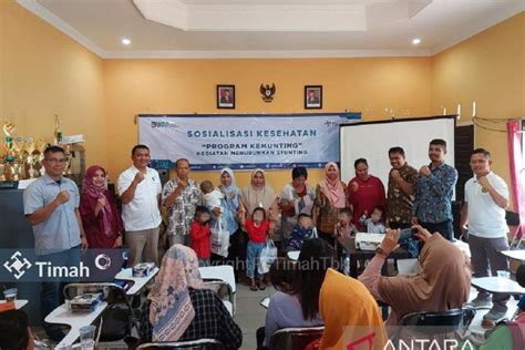 PT Timah Pemda Se Babel Gencarkan Kemunting Tekan Stunting ANTARA News