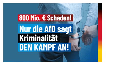 Millionen Euro Schaden Durch Organisierte Kriminalit T Afd Kompakt