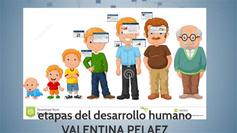 Etapas Del Desarrollo Humano By Valentina Pelaez On Prezi