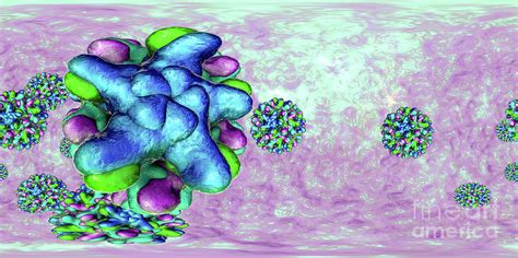 Hepatitis B Virus Particles Photograph By Kateryna Kon Science Photo