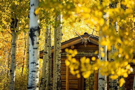 Experience The Magic Of Fall In Jackson Hole Abode Jackson Hole