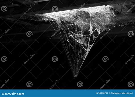 Cobweb Royalty Free Stock Photography - Image: 38760217