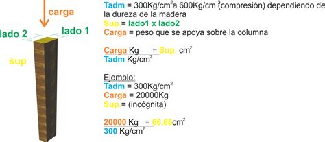 Cómo calcular el peso de la madera por m3 y por m2 | MaterialesyPesos.com