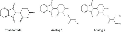 Chemical Structures Of Thalidomide And Its Dithiocarbamate Analogs