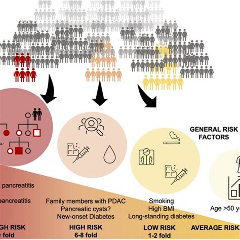 Relative Risk For Pancreatic Cancer In The Population Legend Highest