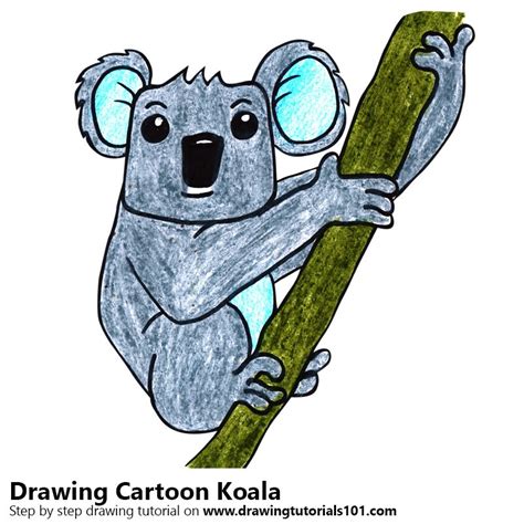 How to Draw a Cartoon Koala (Cartoon Animals) Step by Step ...