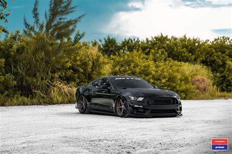 Black Widow Customized Stang Carid Gallery