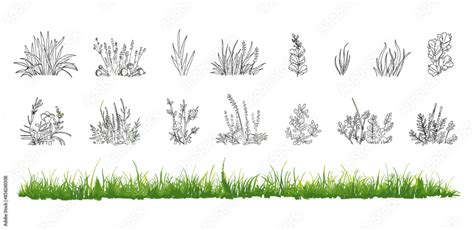 Grass Line Cad Silhouettes Set Isolated On White Background Ground