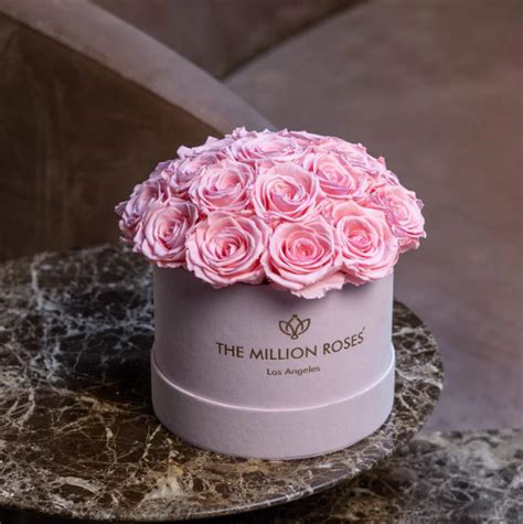 Pink Roses Meaning: Unveiling the Symbolism and Elegance of Pink Roses