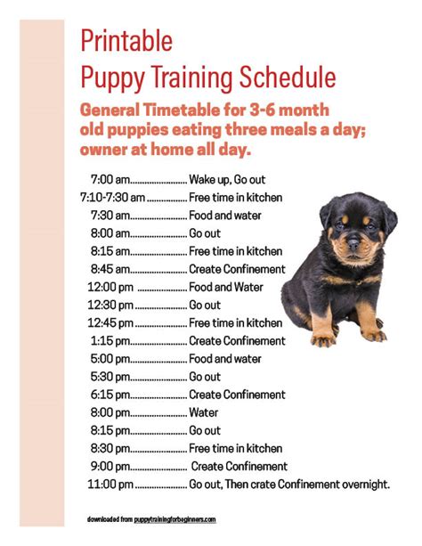 Downloads - Puppy Training For Beginners