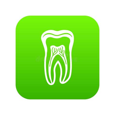 Tooth Structure Icons Set 9 Vector Stock Vector Illustration Of