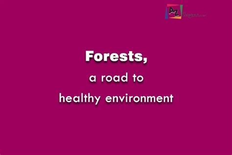 Save Forests Slogans