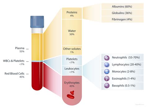 introduction  blood components