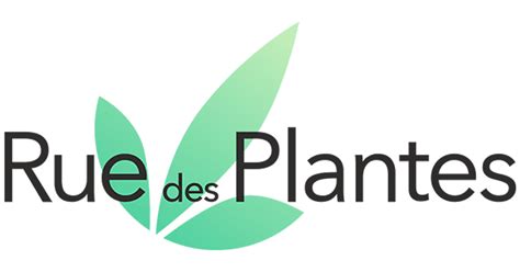 Rue Des Plantes