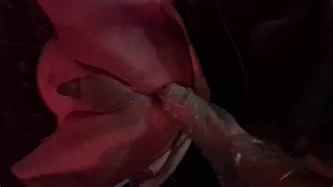 Mujer Dominante Y Algunas Putas Sumisas Pornhub Gay