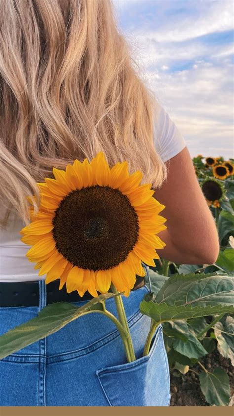 Sunflower Sunflower Field Picspo Pic Idea Pose Idea Poses