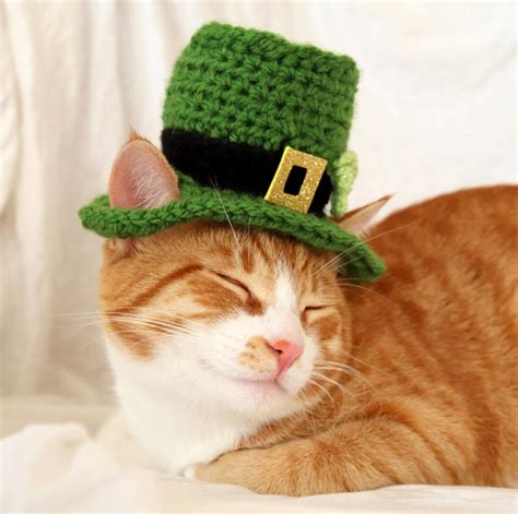 Leprechaun Cat Hat St Patricks Day Hat For Cats St Etsy