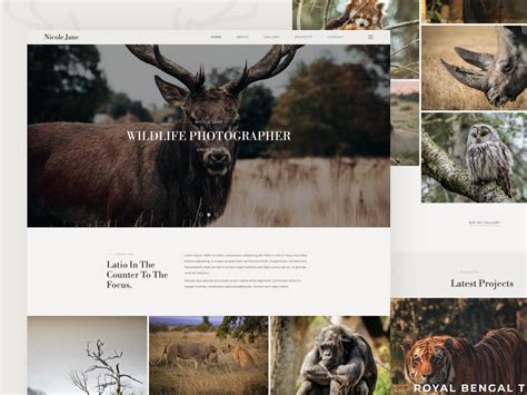 Wildlife Photography Website Templates