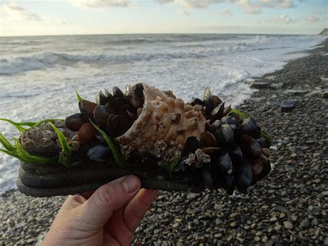 Анапа видео январь 2024