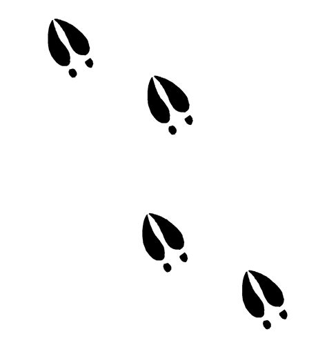 Deer Tracks Clip Art