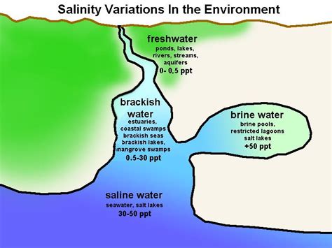 7 4 Salinity Geosciences LibreTexts