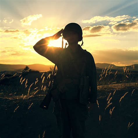 Military Salute Stock Photos, Pictures & Royalty-Free Images - iStock