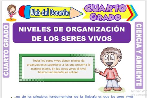 Niveles de Organización de los Seres Vivos para Cuarto Grado