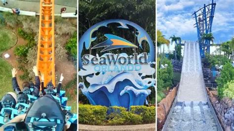 Descubre Las Atracciones Imperdibles De Seaworld Orlando En