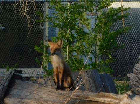 Topeka, KS Vacation Rentals: house rentals & more | Vrbo