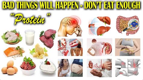 Bad Things Will Happen If You Don T Eat Enough Protein What Must You Do About It Youtube