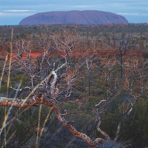 Uluru Sacred Northern Territory - Free photo on Pixabay - Pixabay