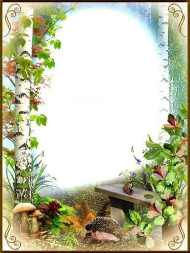 Floral Poster Design with Bench in Woods