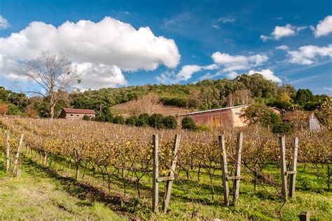 Vale dos Vinhedos em Bento Gonçalves Conheça uma charmosa região de