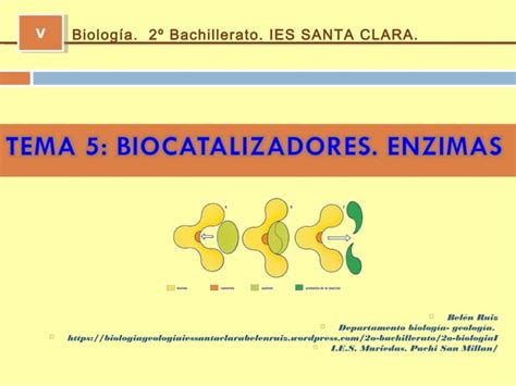 Tema Enzimas Ppt