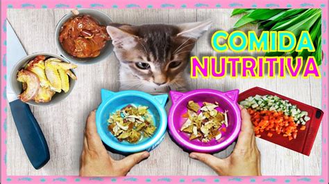 Receta De Comida Casera Saludable Para Gato Youtube