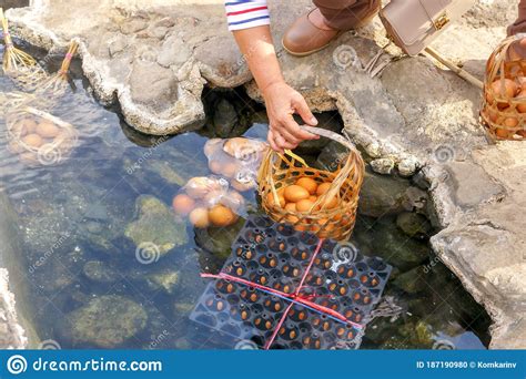 Tourist Boiling Eggs In Hot Spring At Chae Son National Park Stock Photography Cartoondealer
