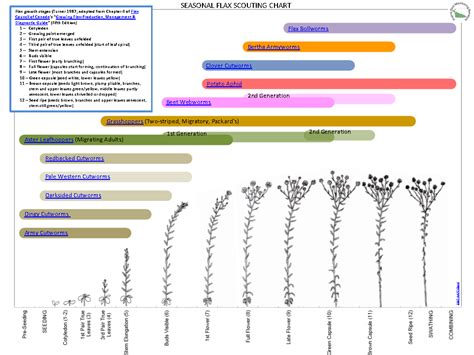 Insect Scouting Chart Prairie Pest Monitoring Network