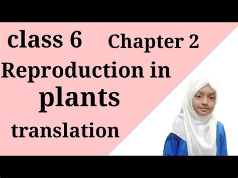 Class Science Chapter Reproduction In Plants Translation Youtube