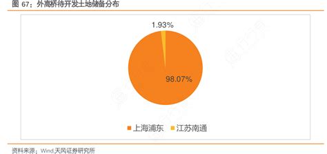 外高桥待开发土地储备分布行行查行业研究数据库