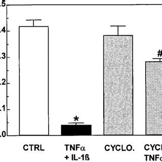 Effect Of The Translation Inhibitor Cycloheximide On Tnf And