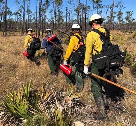 The BLM-ES Fire and Aviation Program Conducts Prescribed Fire in ...